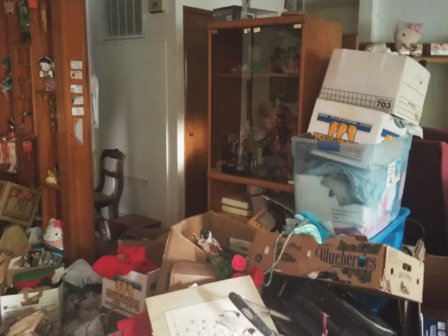 Professional Junk Haulers in Rjm Junk Removal